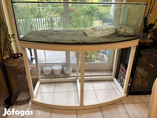 Eladó egyedi kialakítású Akvárium íves üveggel