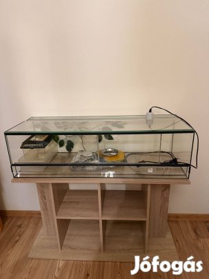 Eladó egyedi panoráma üvegterrárium (100x34x28 cm)