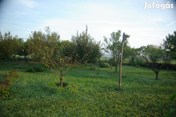 Eladó építési telek Bugacpusztházán kivételes lehetőség!