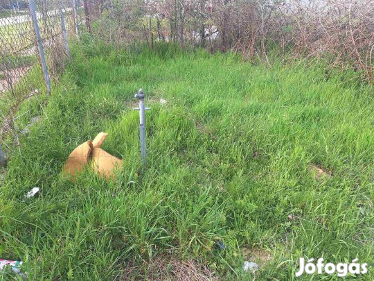 Eladó építési telek Igalban a központ közelében!