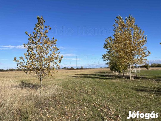 Eladó építési telek Mindszentpusztán