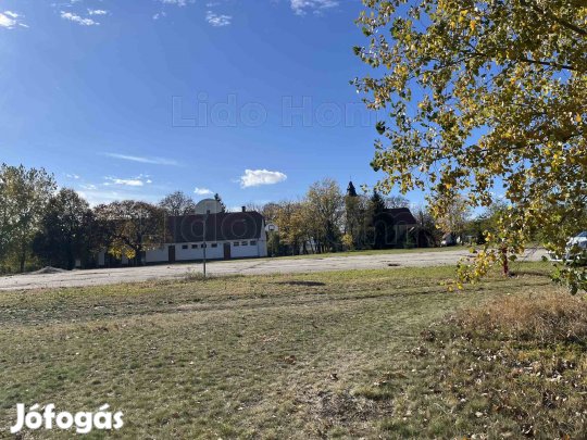 Eladó építési telek Mindszentpusztán