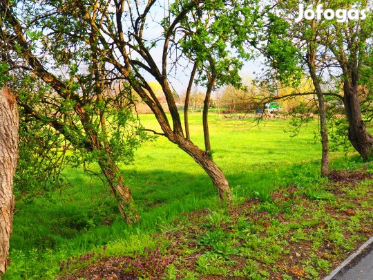 Eladó építési telek, Demjén