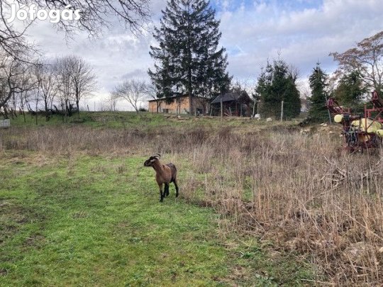 Eladó építési telek, Kocs