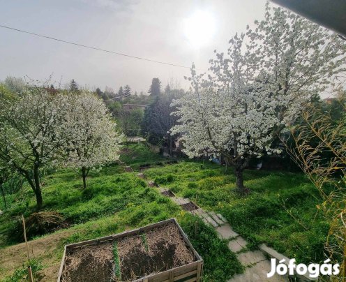 Eladó építési telek - Dunaújváros Táborállás