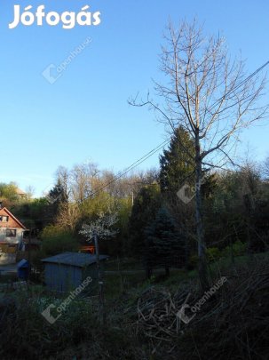 Eladó építési telek, gazdasági épülettel.