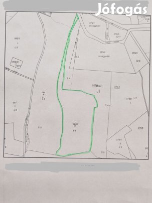 Eladó erdő Ipolytarnóc