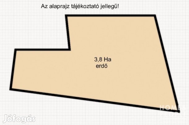 Eladó erdő, Ásotthalom!