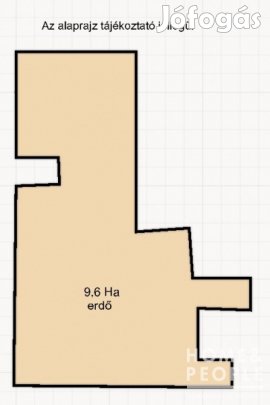Eladó erdő, Ásotthalom!