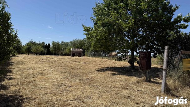 Eladó fauszéli ÉPÍTÉSI TELEK Felsőpáhokon.