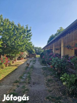 Eladó fejlesztési telek Vecsésen