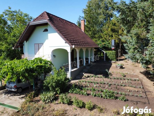 Eladó felújított családi ház hatalmas kerttel Hevesen - külterü 33_lvi
