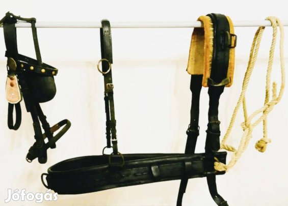 Eladó fogatos felszerelések