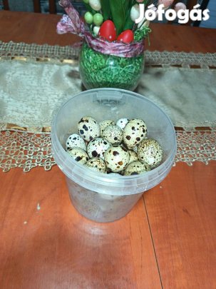 Eladó fürj tojás