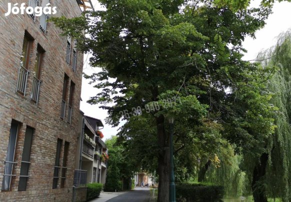 Eladó garázs, Gyula Belváros, Városháza utca, 6400000 Ft, 12 nm 358_ph