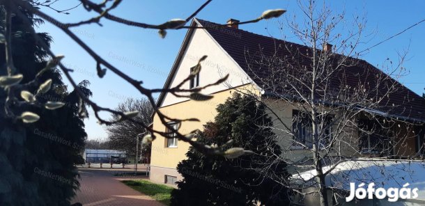 Eladó gazdálkodásra alkalmas családi ház Szandaszőlősön!