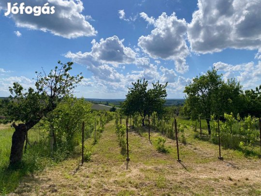 Eladó gazdasági épület és mezőgazdasági terület Alsóújlak Öreghegy