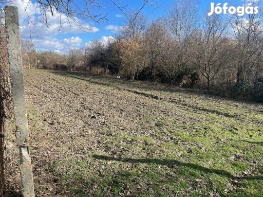 Eladó gondozott hobbikert Kalocsán