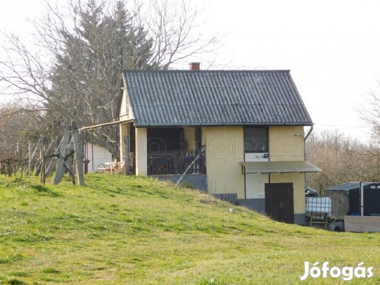 Eladó gondozott szőlőbirtok présházzal Mosdóson, a Vigadó-hegyen 