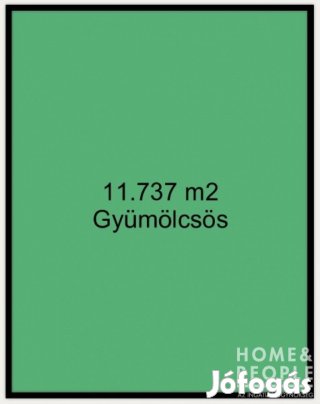 Eladó gyümölcsös Ruzsán! - Ruzsa