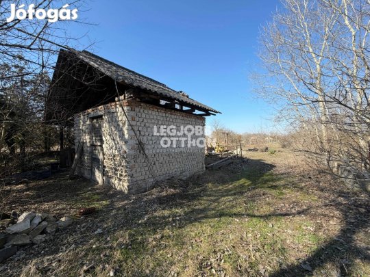 Eladó gyümölcsös és szőlő Csemő-Zöldhalomban