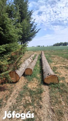 Eladó három fenyőfa rönk