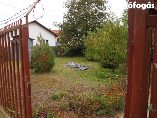 Eladó hatalmas telek házzal, épületekkel, pincékkel