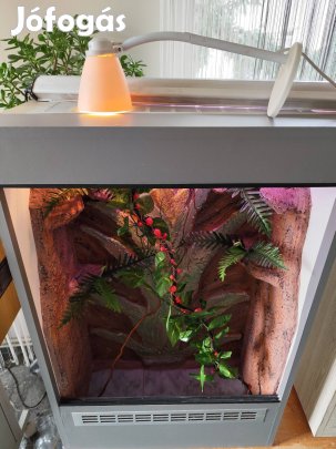 Eladó hátterezett álló fa terrárium