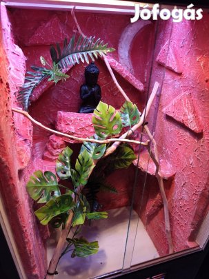 Eladó hátterezett álló terrárium