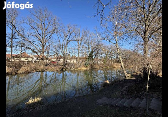 Eladó ház, Békéscsaba VI. kerület, 120000000 Ft, 176 nm 344_ph