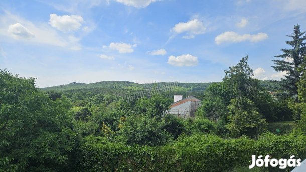 Eladó ház, Budakeszi Barackos, 142000000 Ft, 150 nm 36112_v