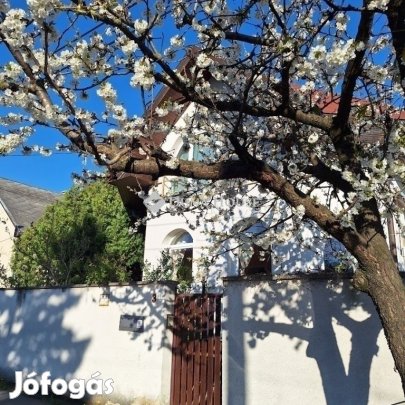 Eladó ház, Budapest 18. ker.