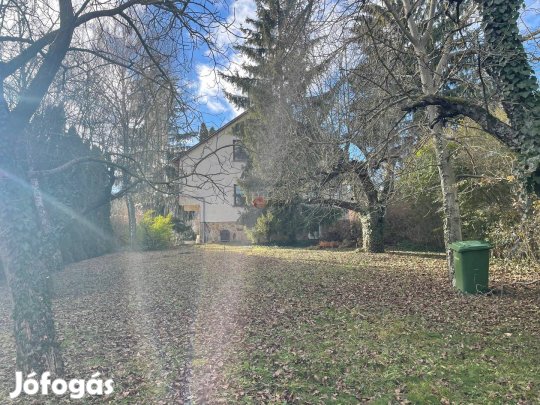 Eladó ház, Budapest, 2. kerület  Budaliget - II/A, 176000000  335_peen