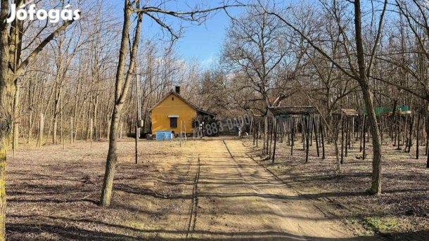 Eladó ház, Dabas, 14990000 Ft, 50 nm