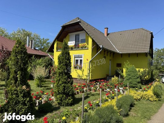 Eladó ház, Heves, Bem József utca, 55900000 Ft, 170 nm 36_lvi