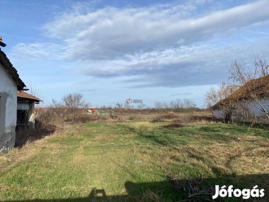 Eladó ház, Vésztő Vésztő, Vásártér utca, 2000000 Ft, 250 nm 601_koimp