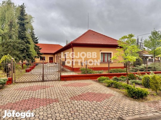Eladó idősek otthona Nyársapáton