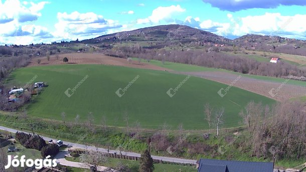 Eladó ingatlan, Lesencefalu