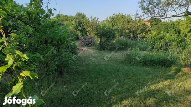 Eladó ingatlan, Veszprém