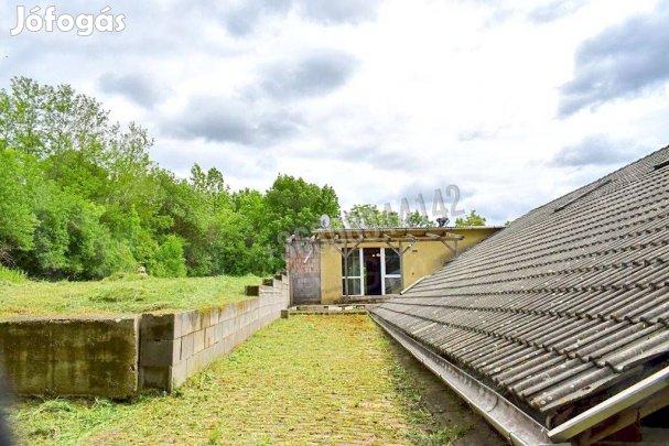 Eladó ipari, Bükkaranyos Bükkaranyos, 149900000 Ft, 828 nm 1651_gaimp