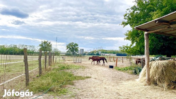 Eladó ipari, Hernád Hernád, 66900000 Ft, 80 nm
