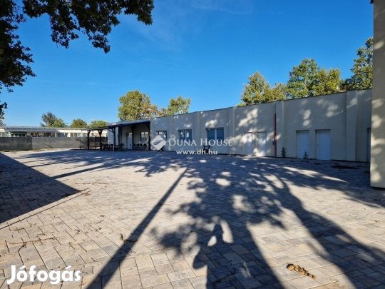 Eladó ipari, Kecskemét