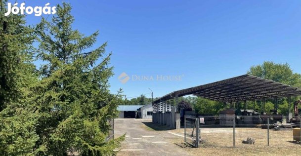 Eladó ipari, Lakitelek