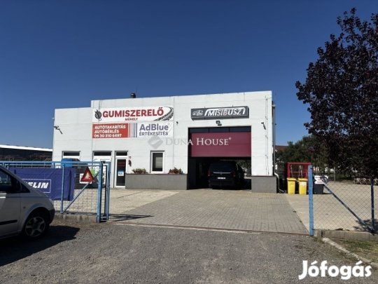 Eladó ipari, Szeghalom