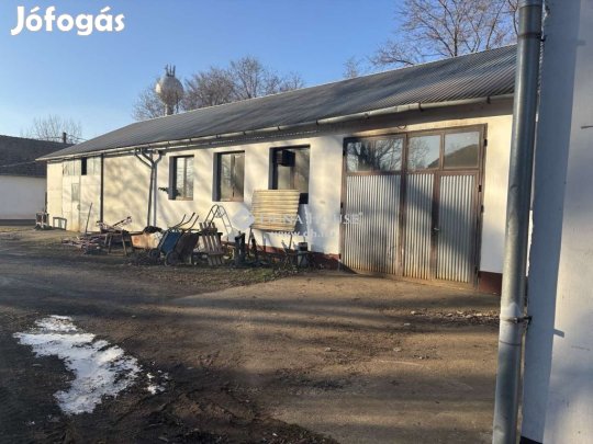 Eladó ipari, Tiszatelek