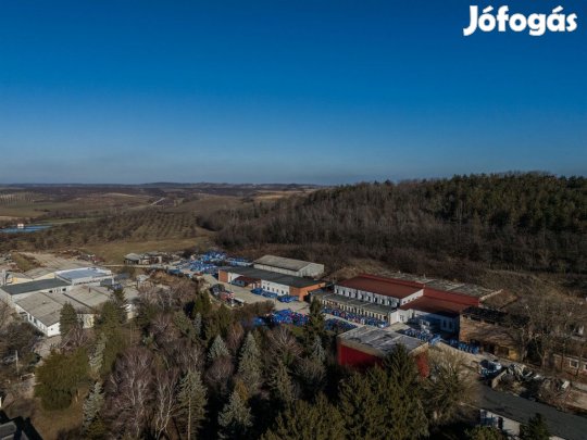 Eladó ipari ingatlan Mór