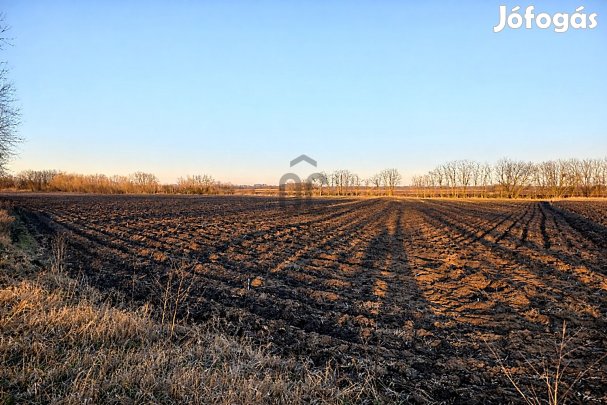Eladó ipari terület Újfehértón