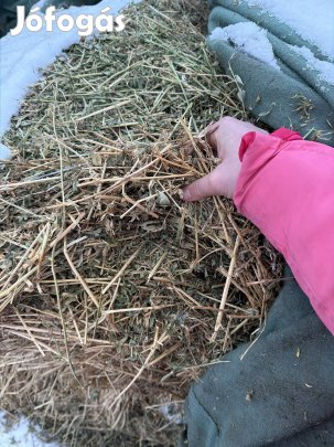 Eladó jó minőségű lucerna 