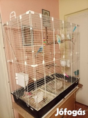 Eladó kalitka