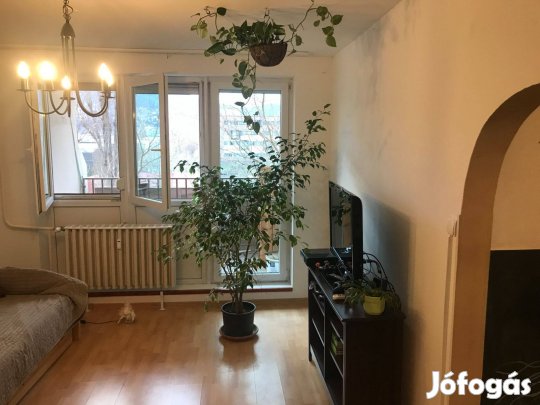 Eladó kaszásdűlői lakás